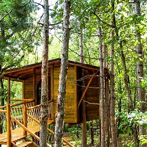 Bed and Breakfast Agramada, Αρναία